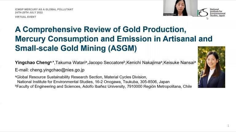 A Comprehensive Review on Gold Production, Mercury Consumption and Emission in Artisanal and Small-scale Gold Mining